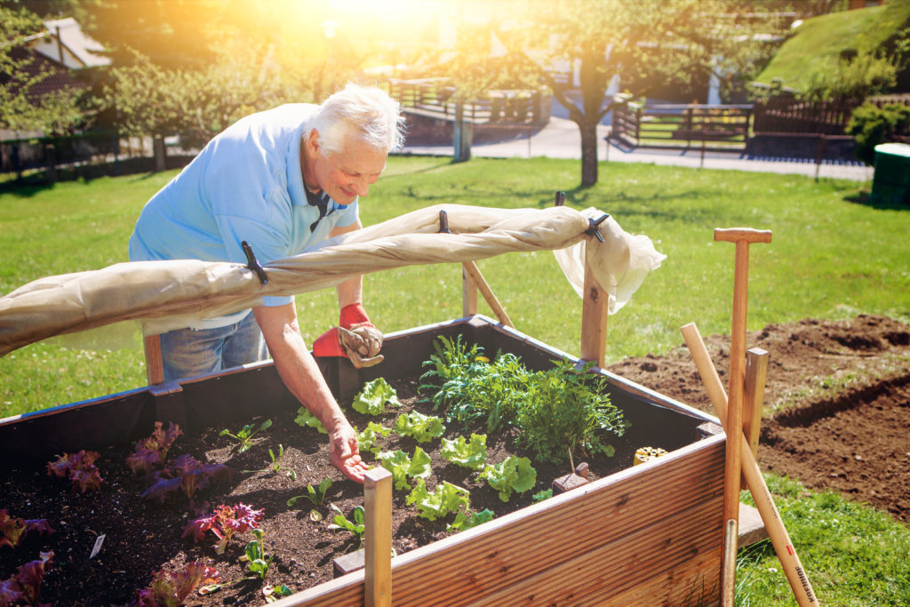 gardening with arthritis