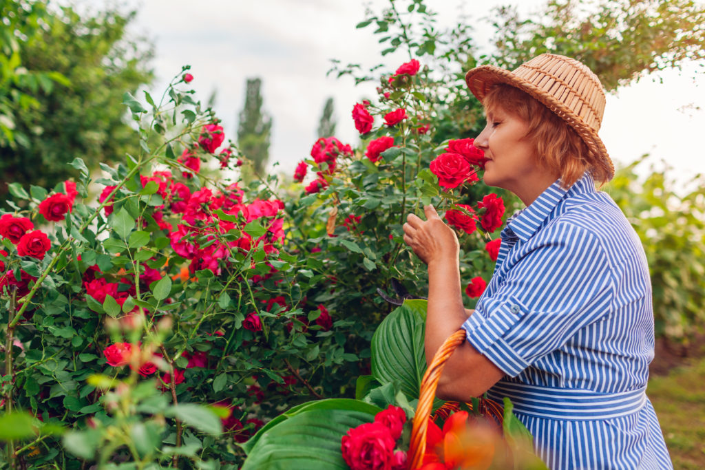 joint pain when gardening