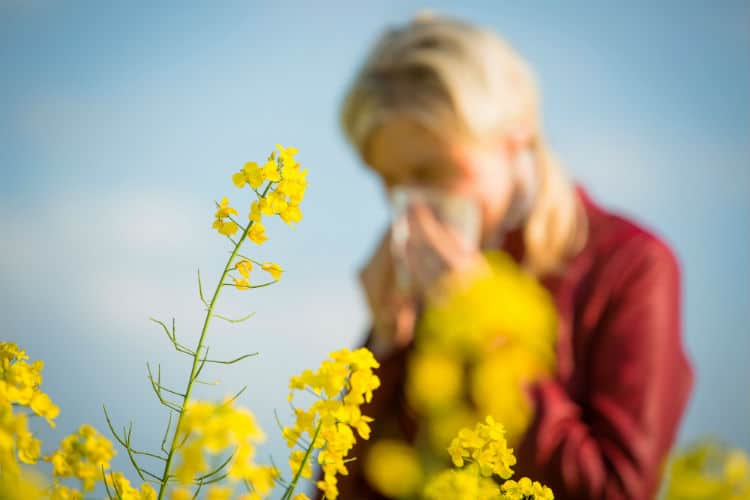 seasonal-allergies-joint-pain