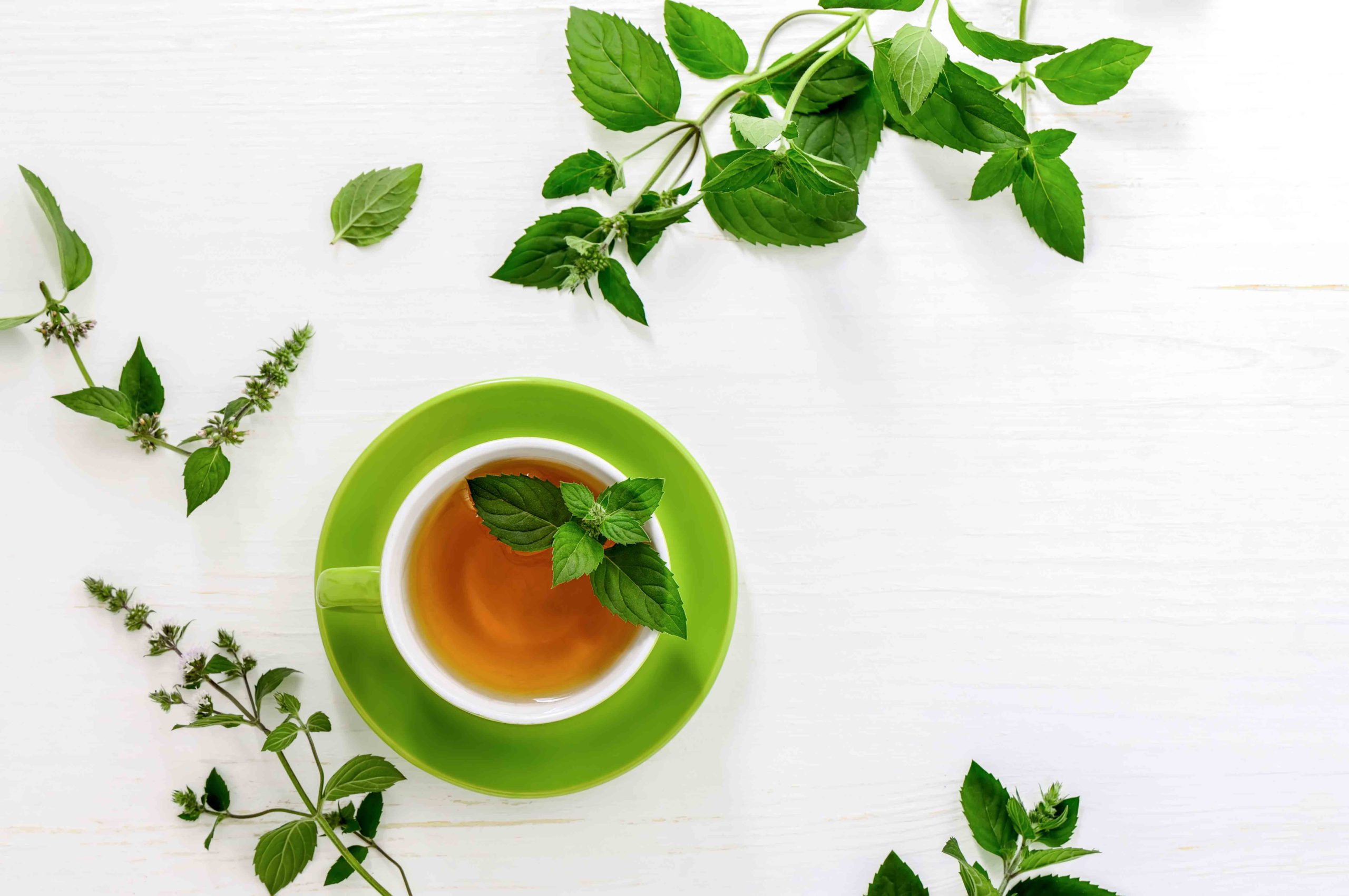 the-benefits-of-eating-green-tea-bags-just-tea