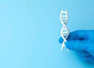 Arthritis – Genetics and Hereditary Risk genetics and arthritis