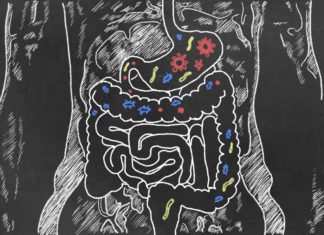 The Importance of Having a Healthy Gut