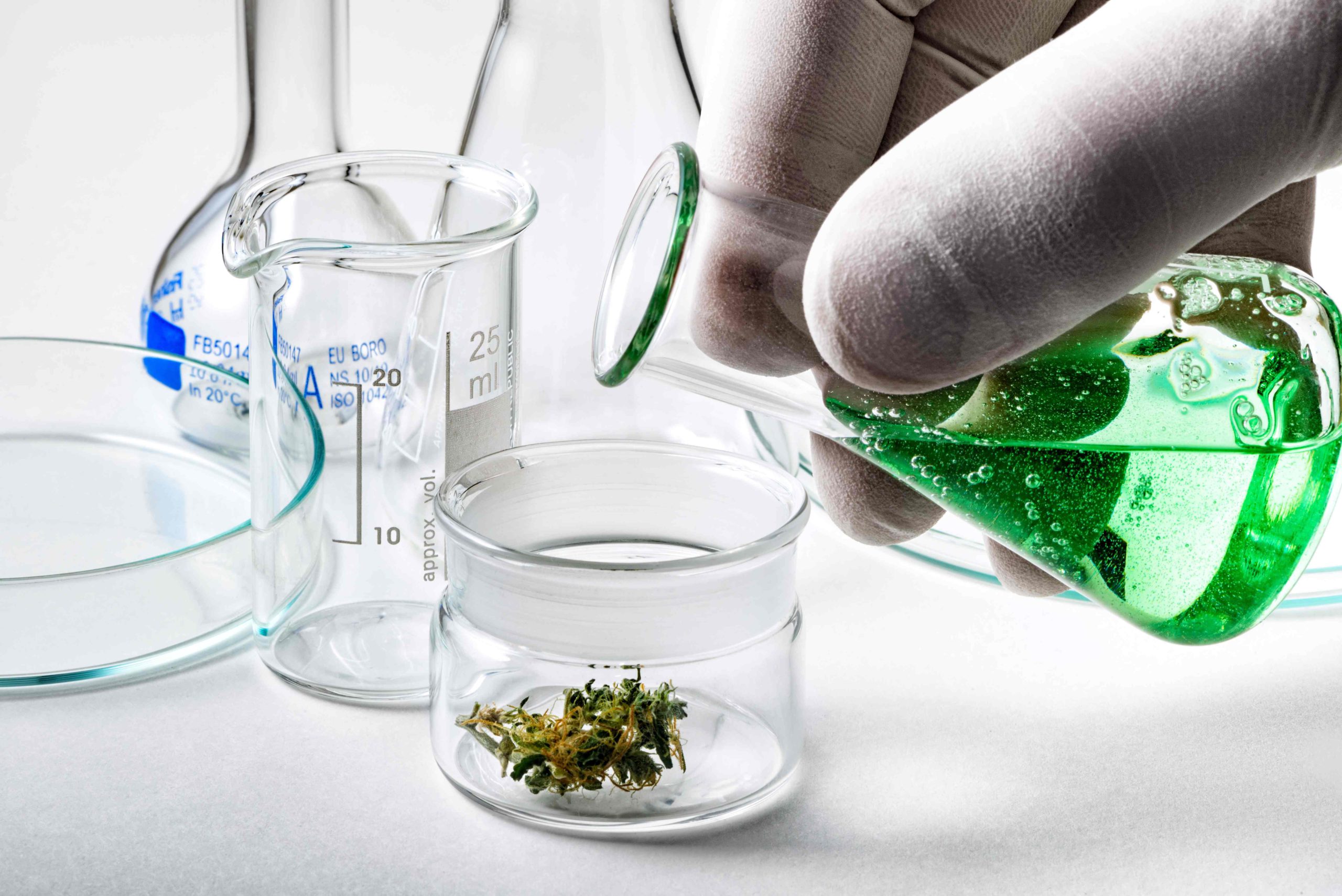 The Future of Medical Cannabis for Arthritis
